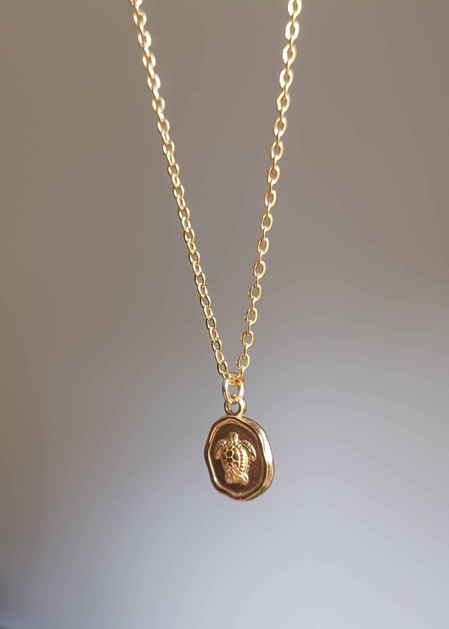 Terra | Torteu | Ketting