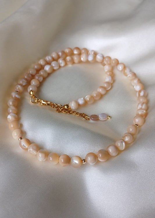 Crème | Trochus Seashell | Ketting